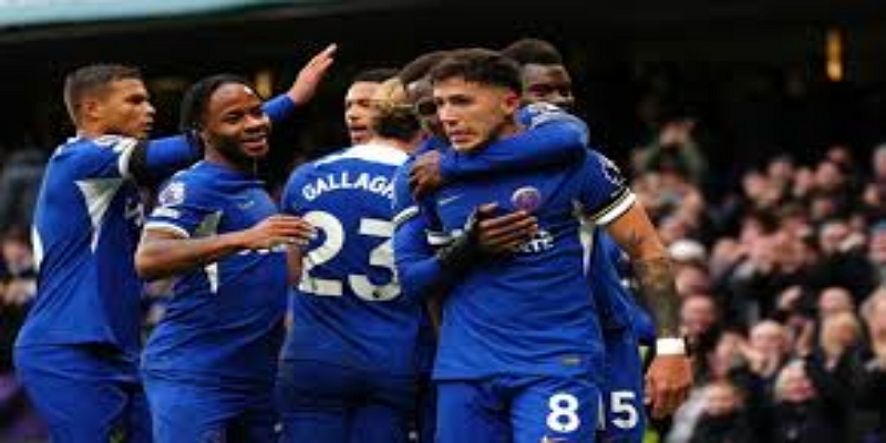 多面手属性：布莱顿防线的新利器- 球速体育