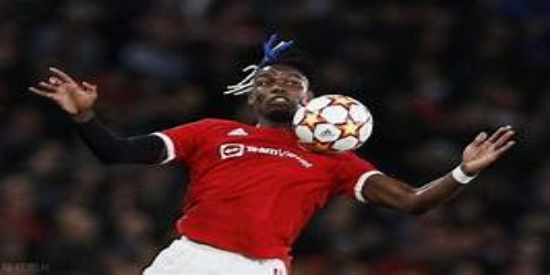 多元化训练的未来展望-球速体育